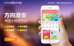 原生/框架APP定制